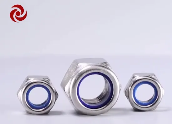 China Fastener Supplier DIN985 Stainless Steel Hex Head Nylon Insert Tightening Nut